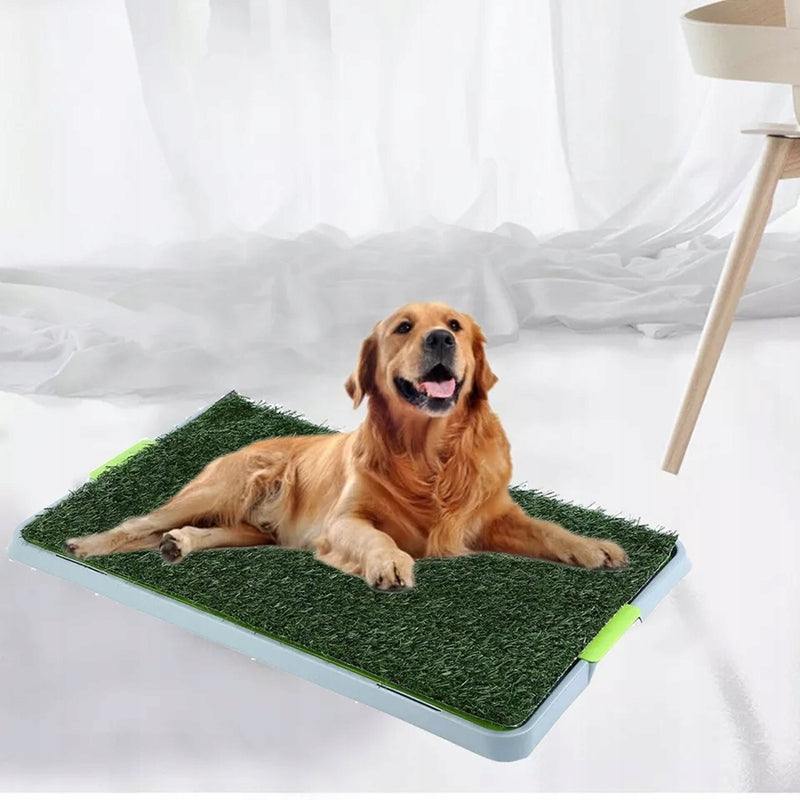 DOG LITTER BOX FOR PEEING ARTIFICIAL GRASS HOME TRAINING URINE TANK Manufacturer code 6PT0258sdsa5123