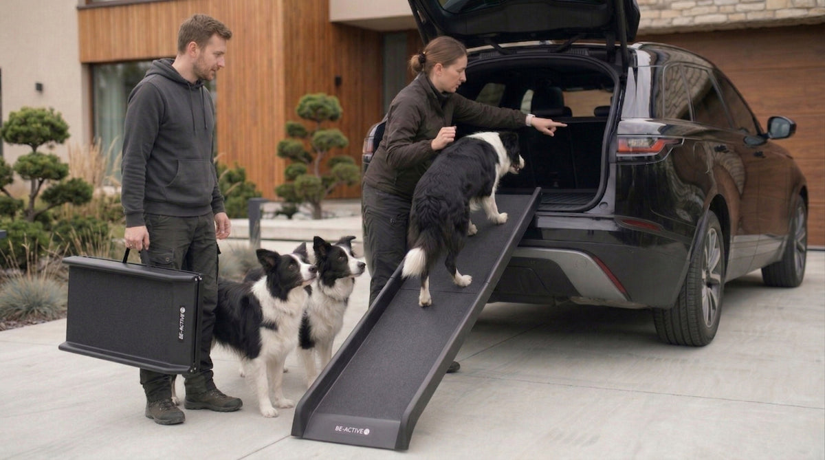 DOG RAMP PLATFORM FOR CAR ENTRY FOLDING NON-SLIP STAIRCASE Packaging status original