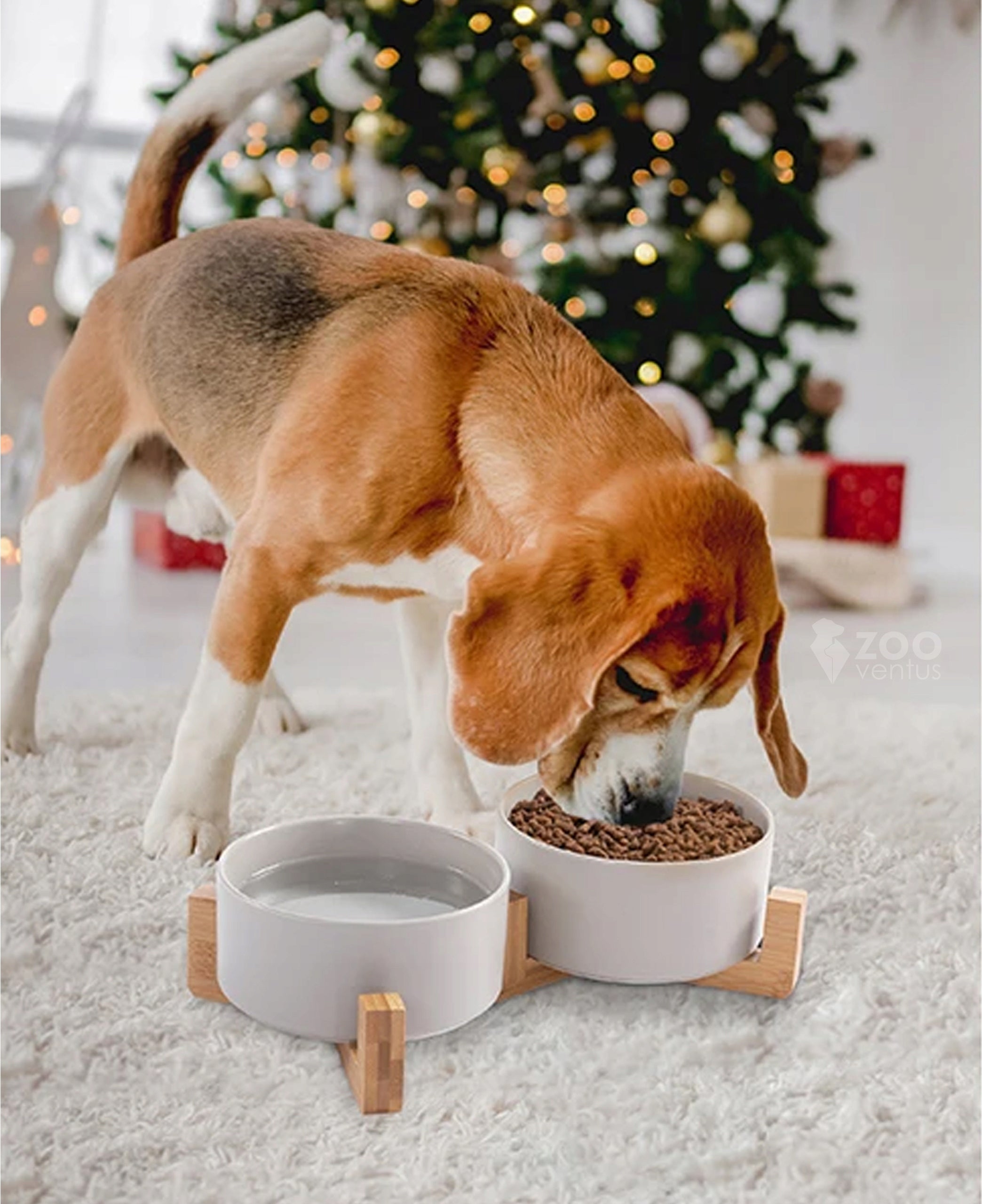 DOG STAND BOWLS DOUBLE CERAMIC BOWL WHITE 2x400ml Brand ZooVentus