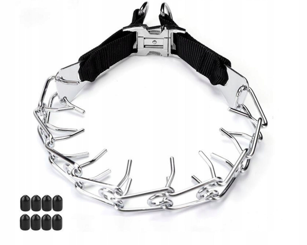 DOG TRAINING EARRING WITH SPIKE COVERS STEEL BUCKLE XL Brand EazyPet