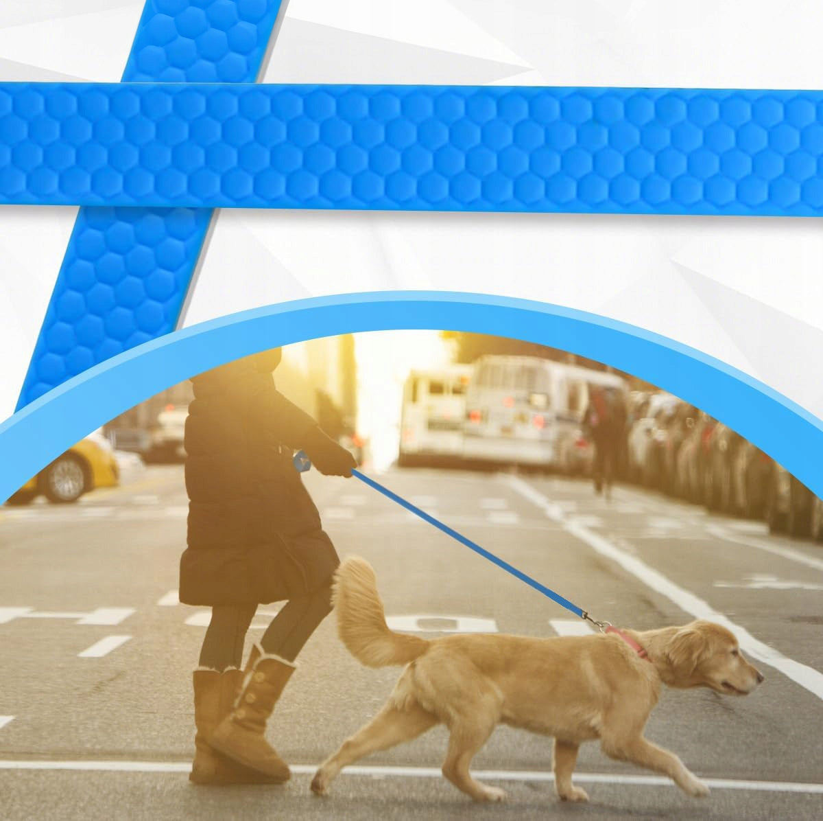 DOG TRAINING LEASH FOR TRAINING STRONG TAPE CORD BIOTHANE PVC 10m EAN (GTIN) 5906022618122