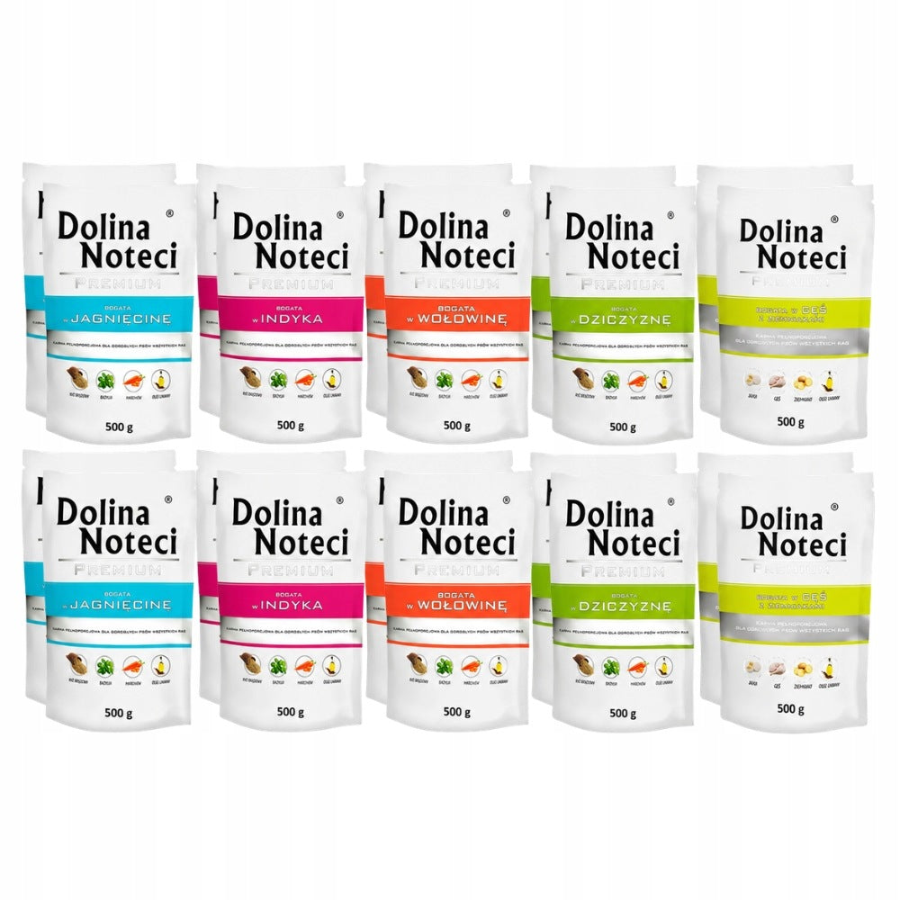 DOLINA NOTECI Premium mix of flavors wet dog food 20x 500g
