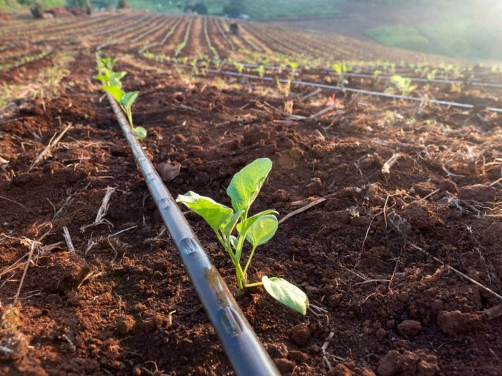 DRIP LINE DRIP IRRIGATION 100m +100XXL DRIP HOSE STRONG Packaging status original