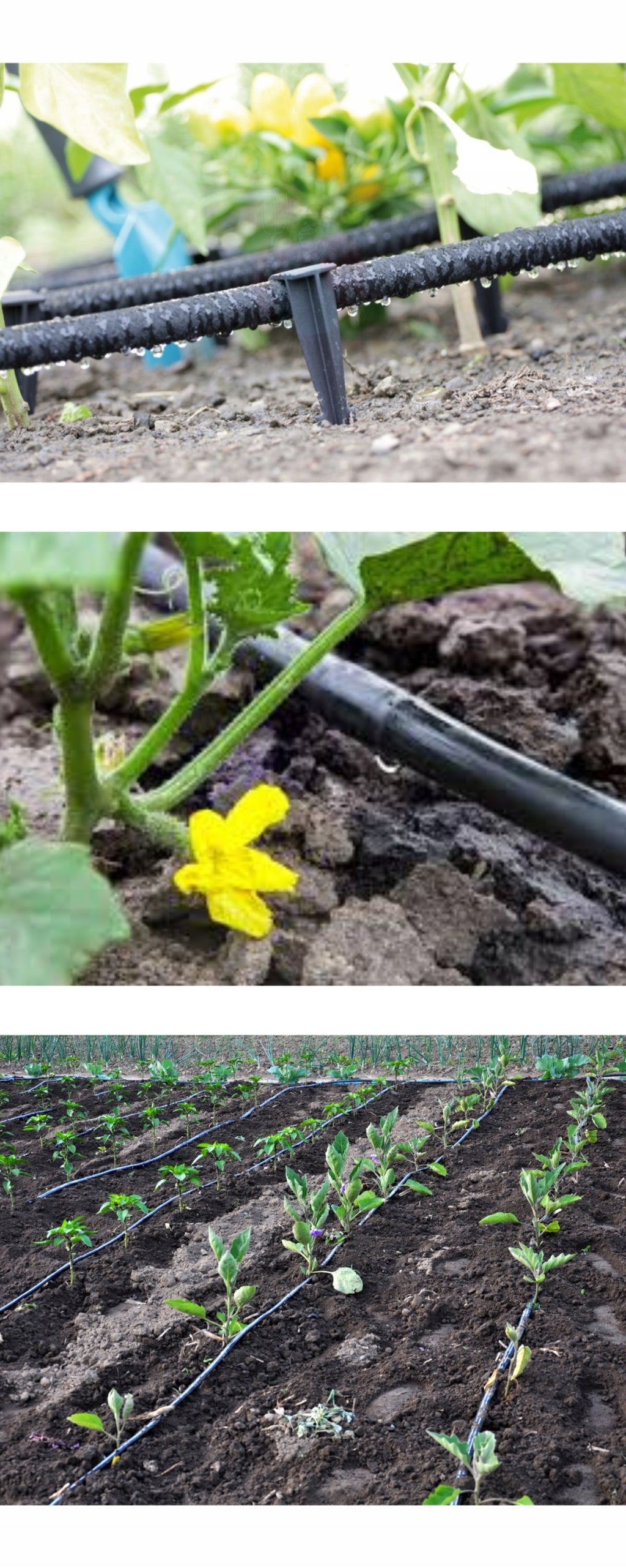 DRIP LINE DRIP IRRIGATION 100m +212 ELEMENTS DRIP HOSE Brand no brand