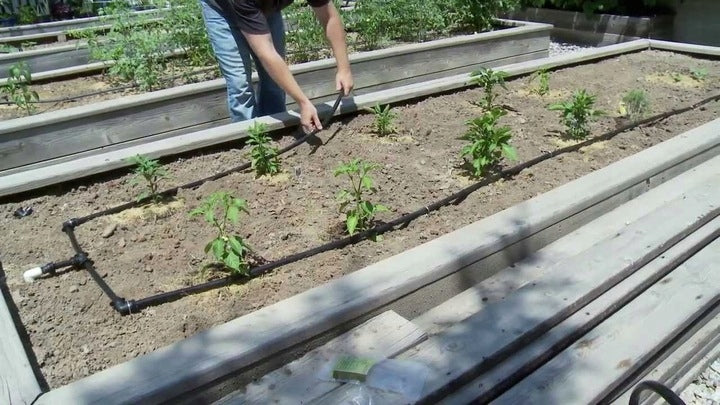 DRIP LINE DRIP IRRIGATION 100mb +112 Packaging status original