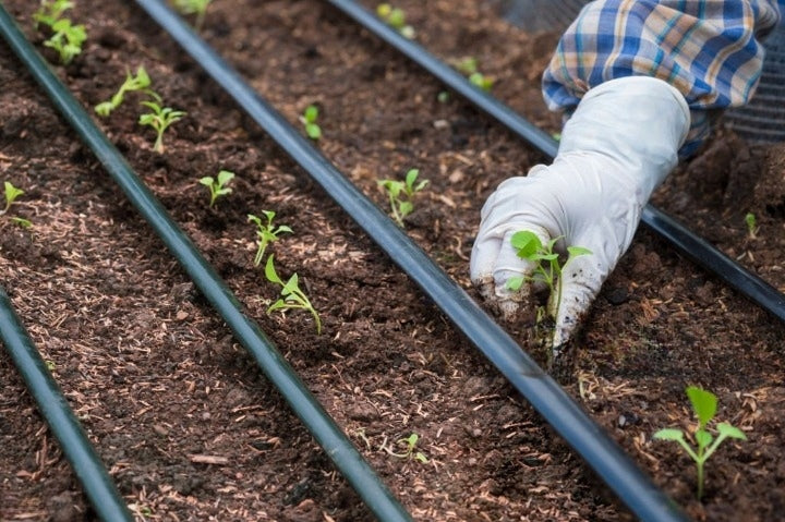 DRIP LINE DRIP IRRIGATION 25m + 49 ELEMENTS DRIP HOSE Manufacturer code Linia Kroplująca Nawadnianie Kropelkowe 49 EL
