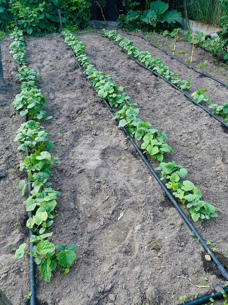 DRIP LINE DRIP IRRIGATION 400m DRIP HOSE VERY STRONG Packaging status original