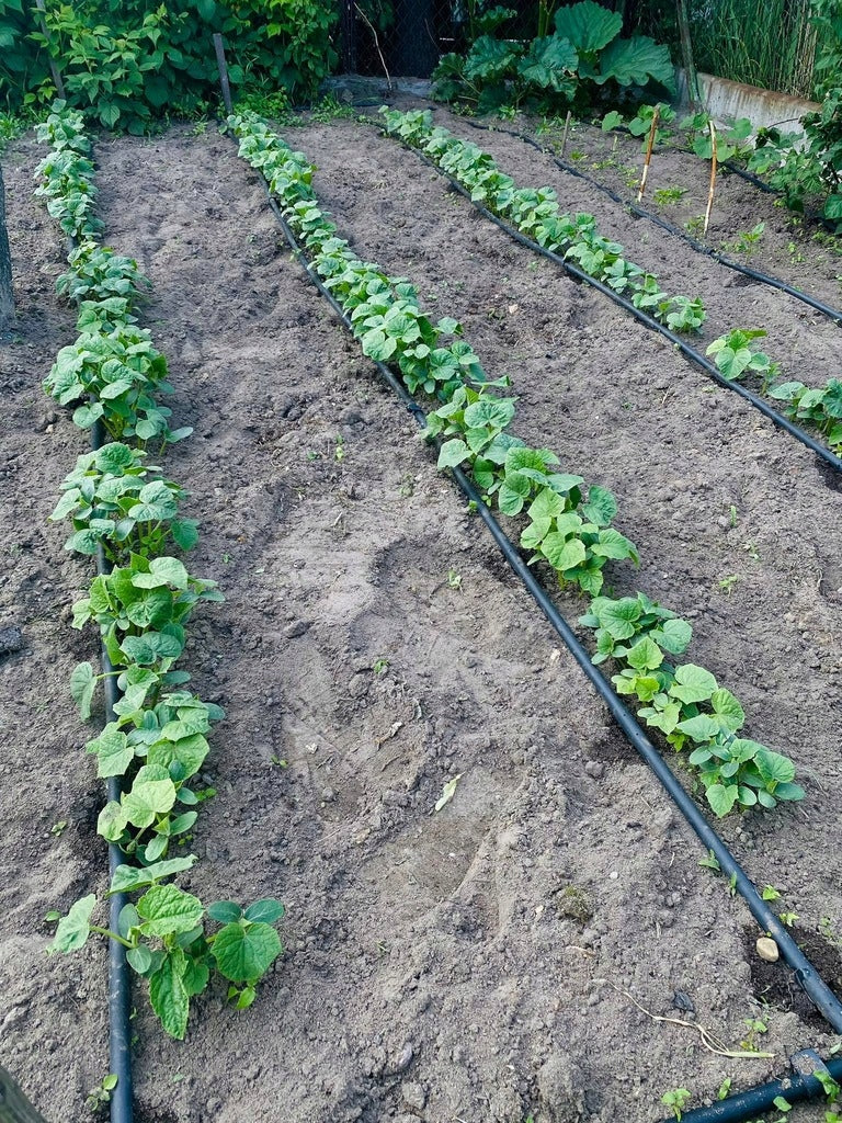 DRIP LINE DRIP IRRIGATION DRIP HOSE 100M Product weight with unit packaging 5 kg