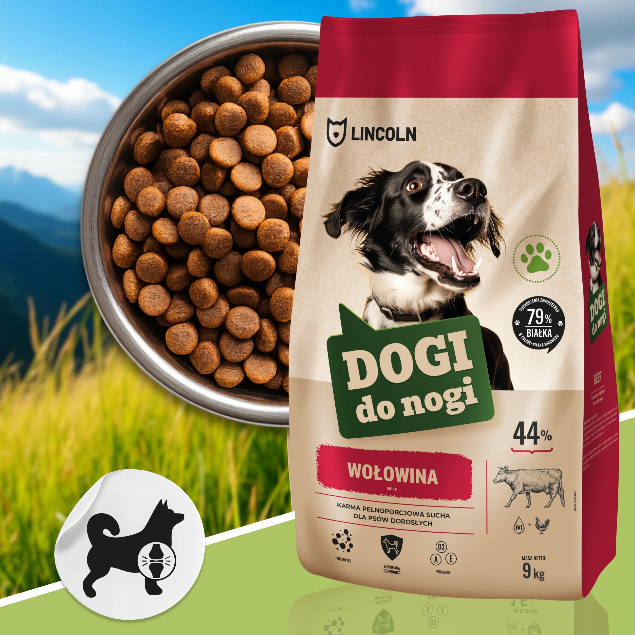 DRY DOG FOOD BEEF 9KG PREMIUM NATURAL HIGH QUALITY GOLDEN Packaging status original