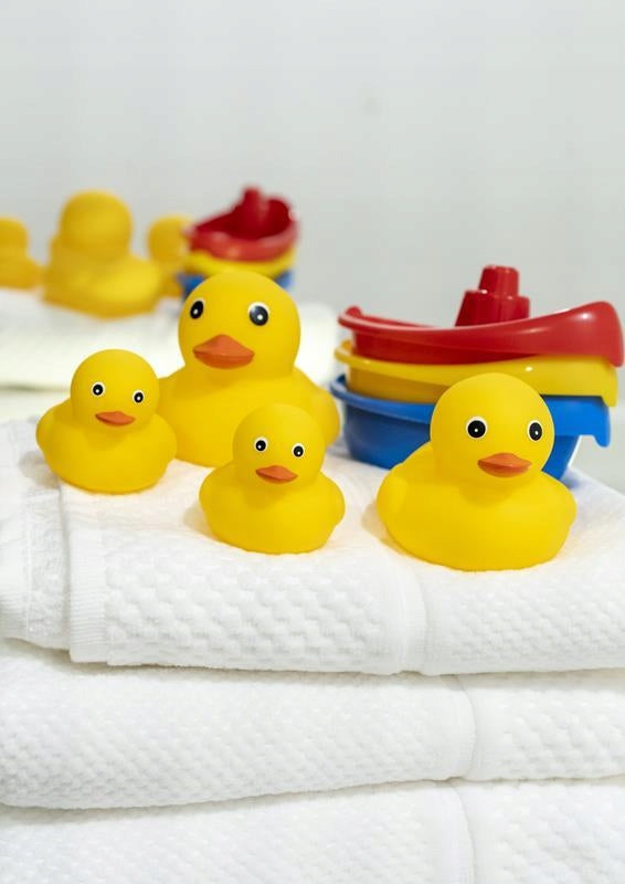 DUCKS CANNOT TAKE WATER FOR A BATH WITHOUT A HOLE Color multicolor