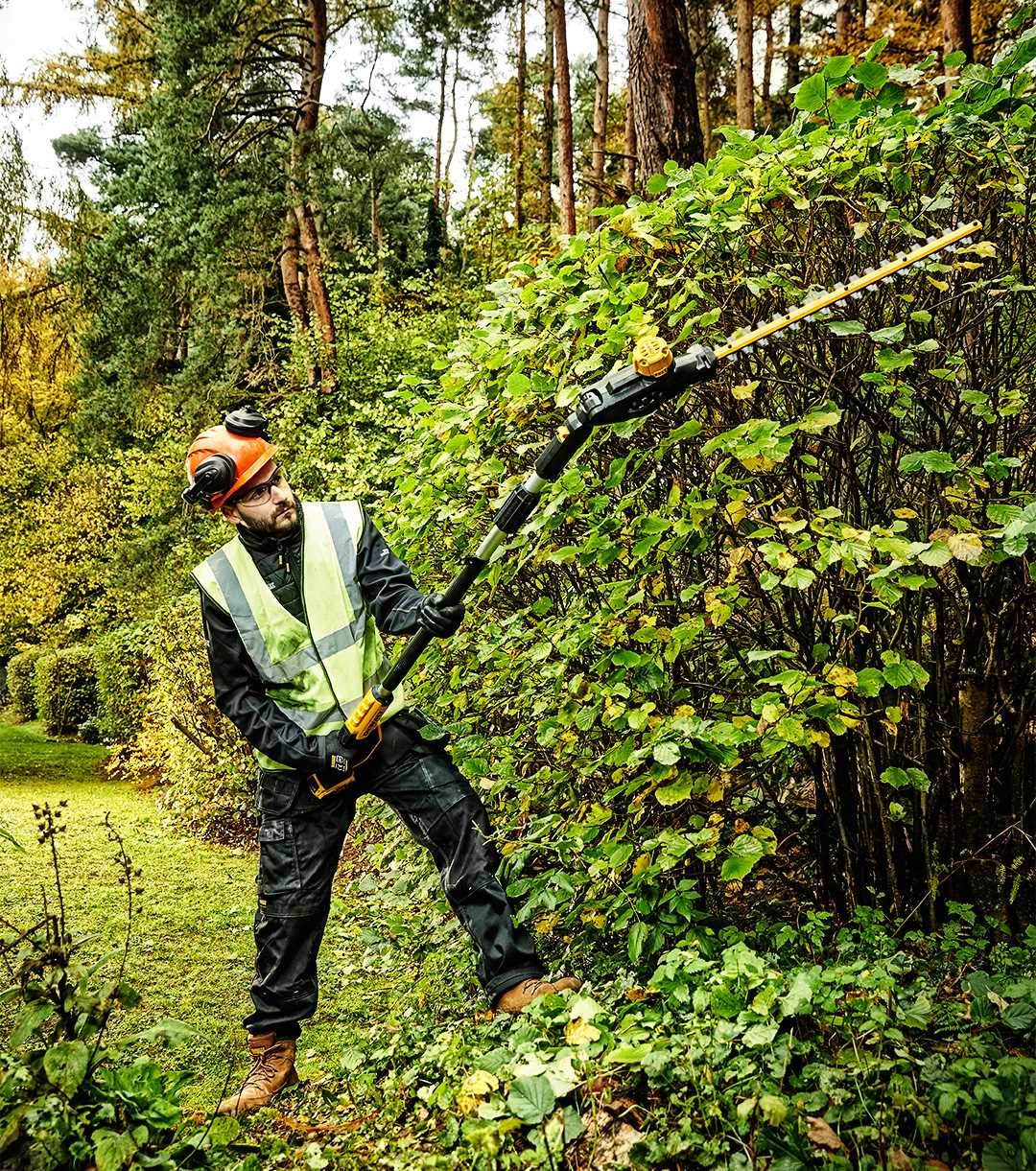 DeWalt DCMPH566N Hedge Trimmer on Boom 55cm 18V BODY Brand DeWalt
