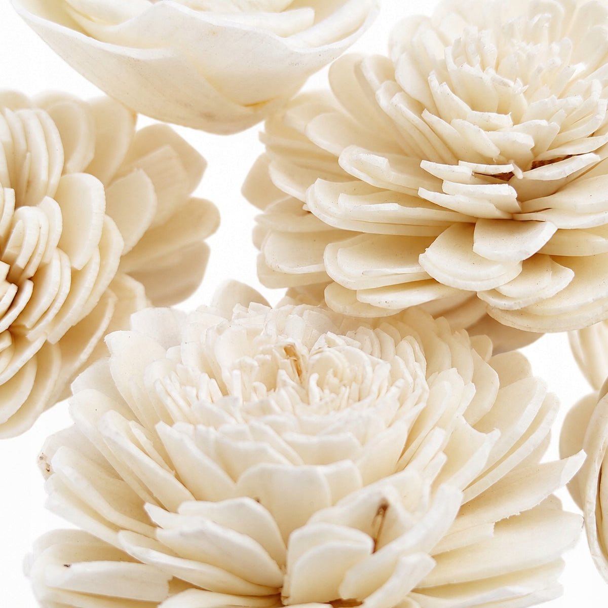 Decorative flowers white 30 pcs. – 6 chrysanthemum and 24 roses 4 – 6 cm