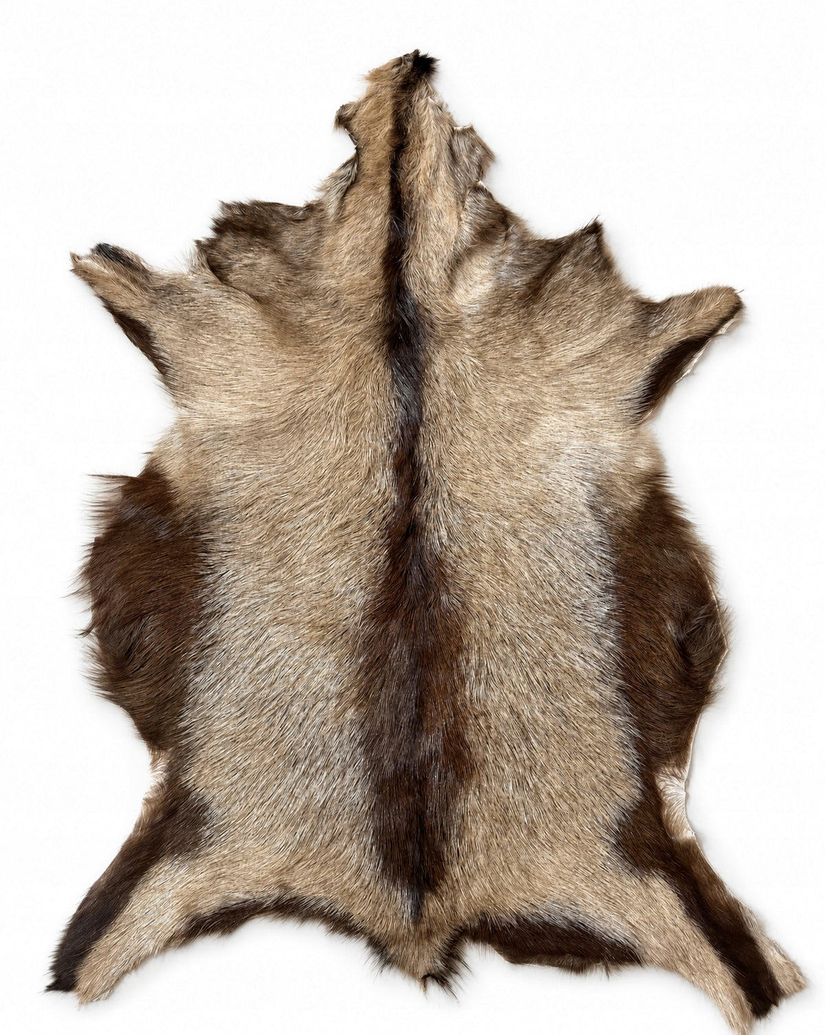 Decorative goat leather "Beige-brown" XL/90cm *NATURAL UNIQUE*