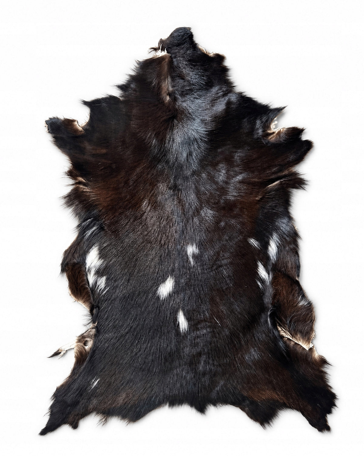 Decorative goat leather "Black" L/80cm *NATURAL*