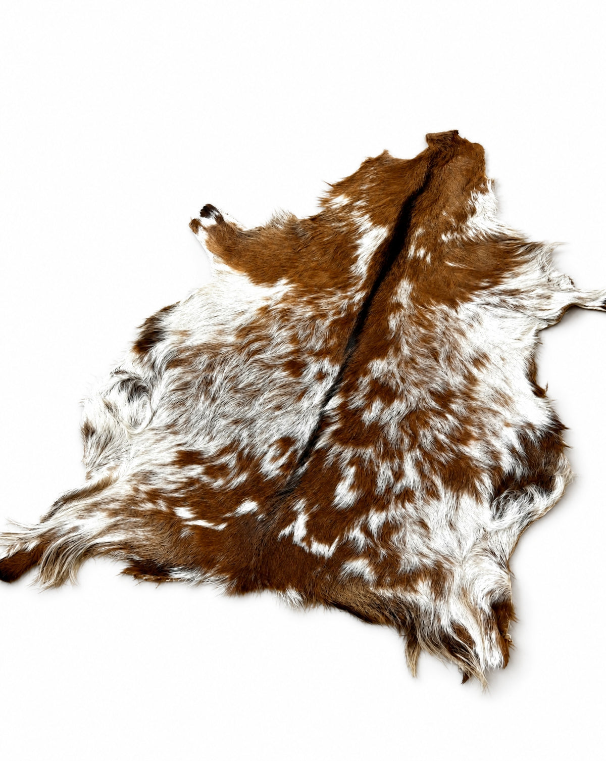 Decorative goatskin "Brown and white" XXL/100cm *NATURAL UNIQUE* Packaging status original