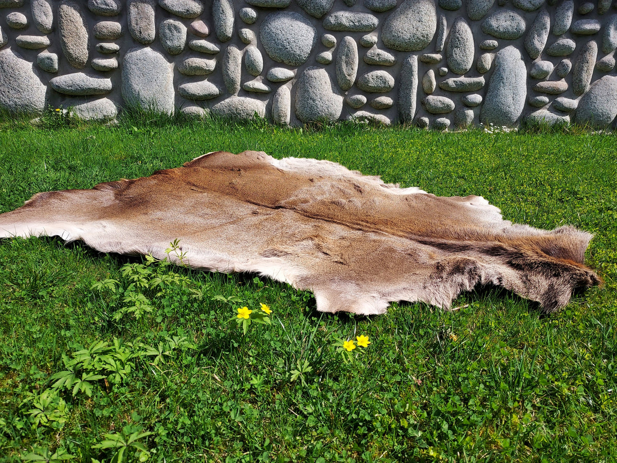 Deer Leather Natural Decorative Leather with Deer XXL Deer Manufacturer code SKD1J