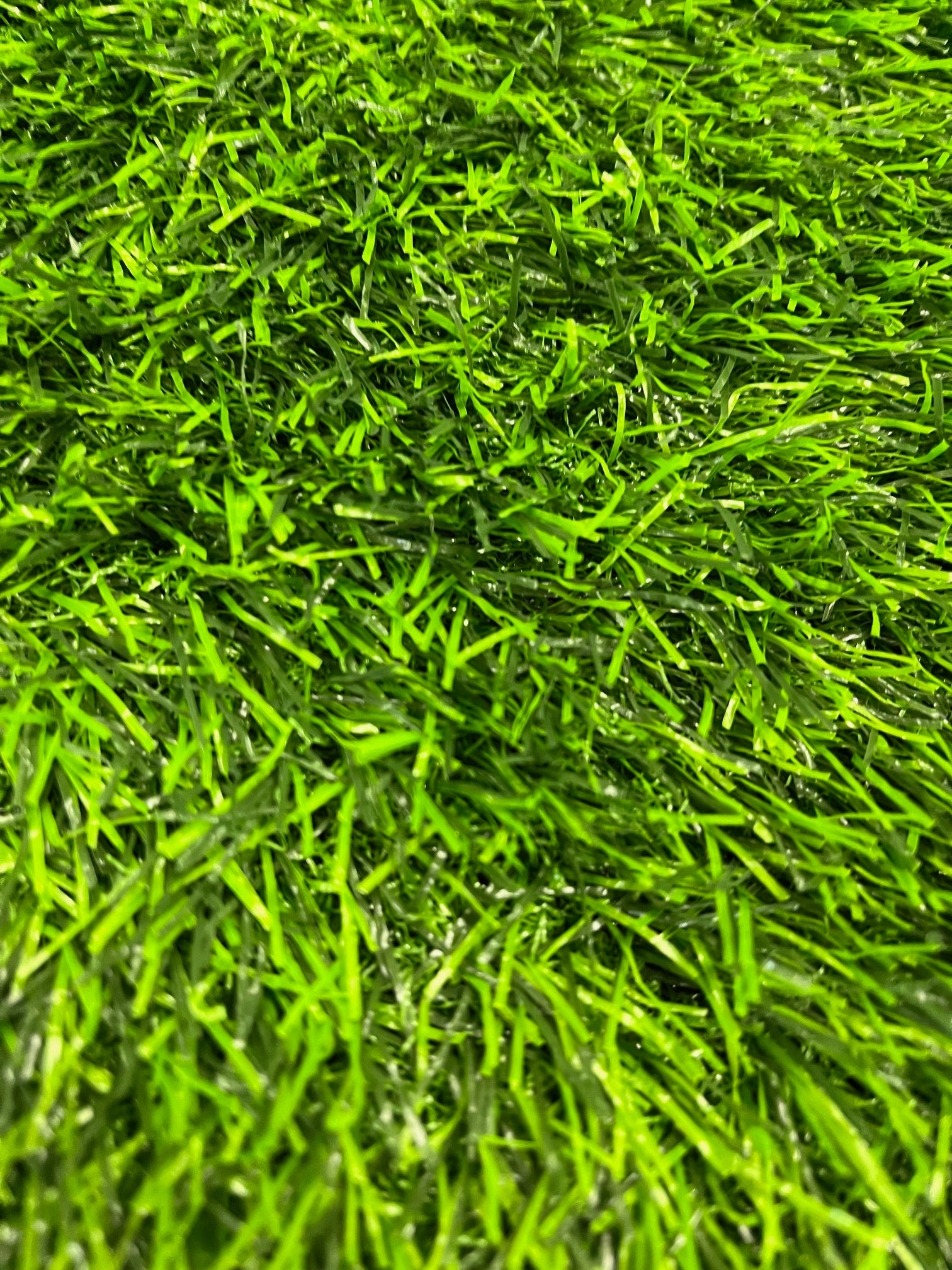 Dense Artificial Grass 200cm Terrace Garden Balcony Mega High 30mm Manufacturer code trawa bella 30