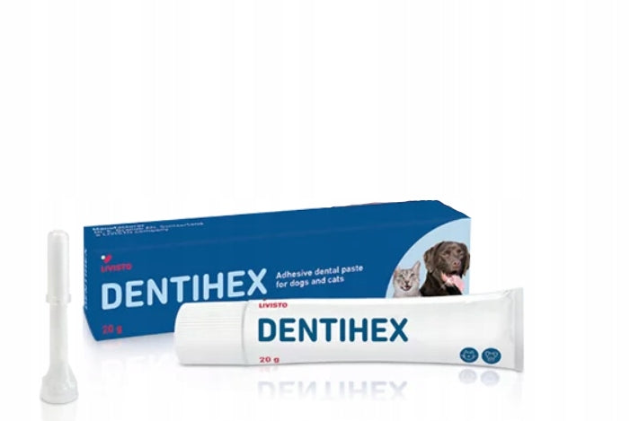 Dentihex chlorhexidine 2 mg/g adhesive toothpaste for dog and cat 20 g Packaging status original