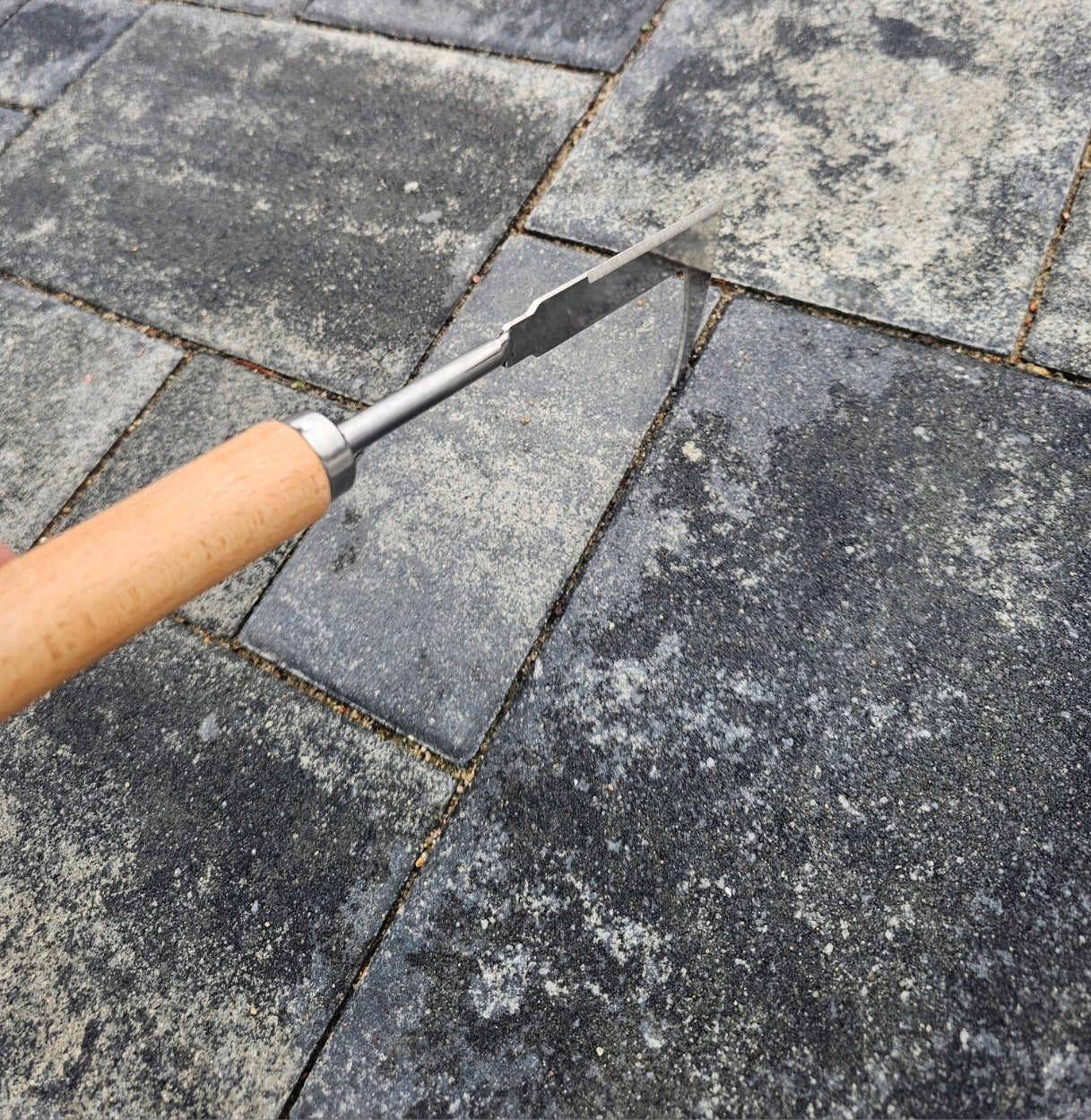 Diaper Scraper Weeder Weed Removal Tool Paving Stone