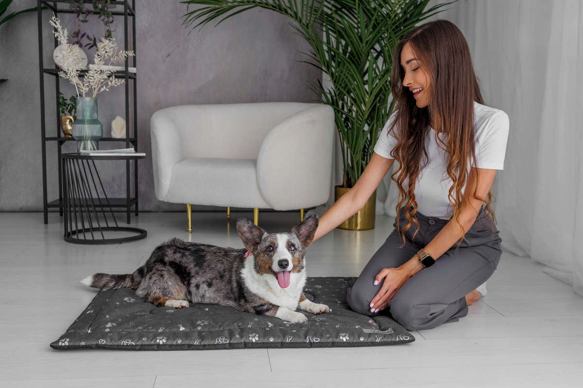 Dog Bed Mat 100x70 Waterproof Soft Pillow Cushion Sleeping Manufacturer code 169