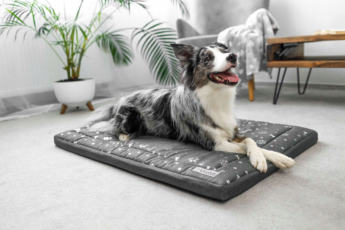 Dog Bed Mattress Waterproof 100x70 Welsti Bedding Pillow Mat Manufacturer code 279