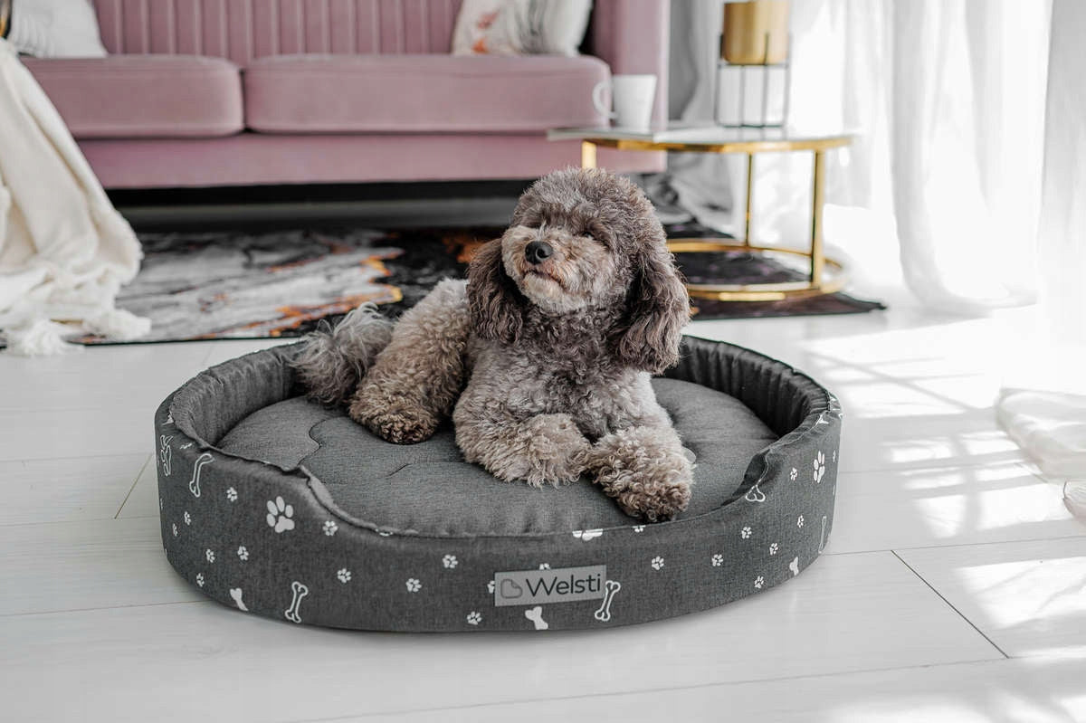 Dog Bed WATERPROOF SOFT DOG CASTLE L 68x55 Bed EAN (GTIN) 5904422502508