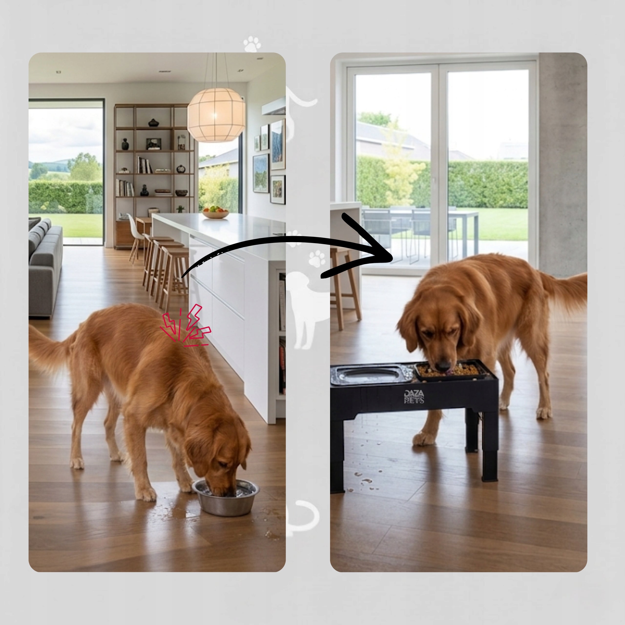 Dog Bowl Slowing Food On Stand Adjustable Height 3in1 Manufacturer code MISKA SLOWFOOD DAZAPETS