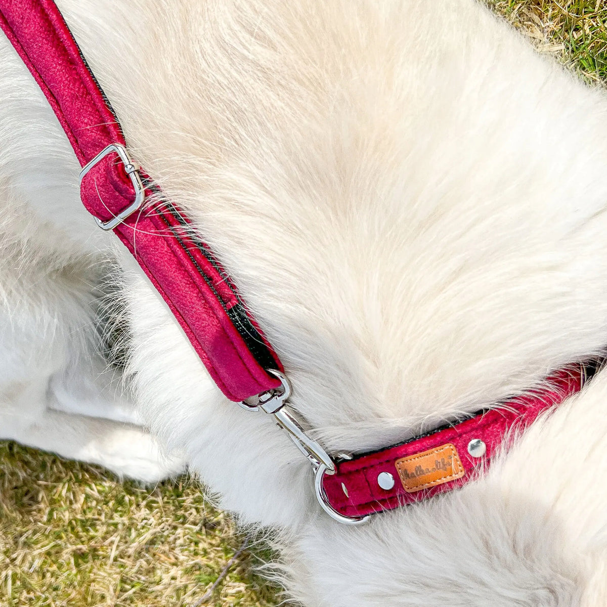 Dog Collar with Lanyard, Lanyard and Collar Set - Cherry, L Manufacturer code SIOWISNIALP