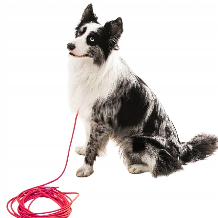 Dog LANYARD waterproof thin training rope PVC 5M BLAST red Brand Lalazoo