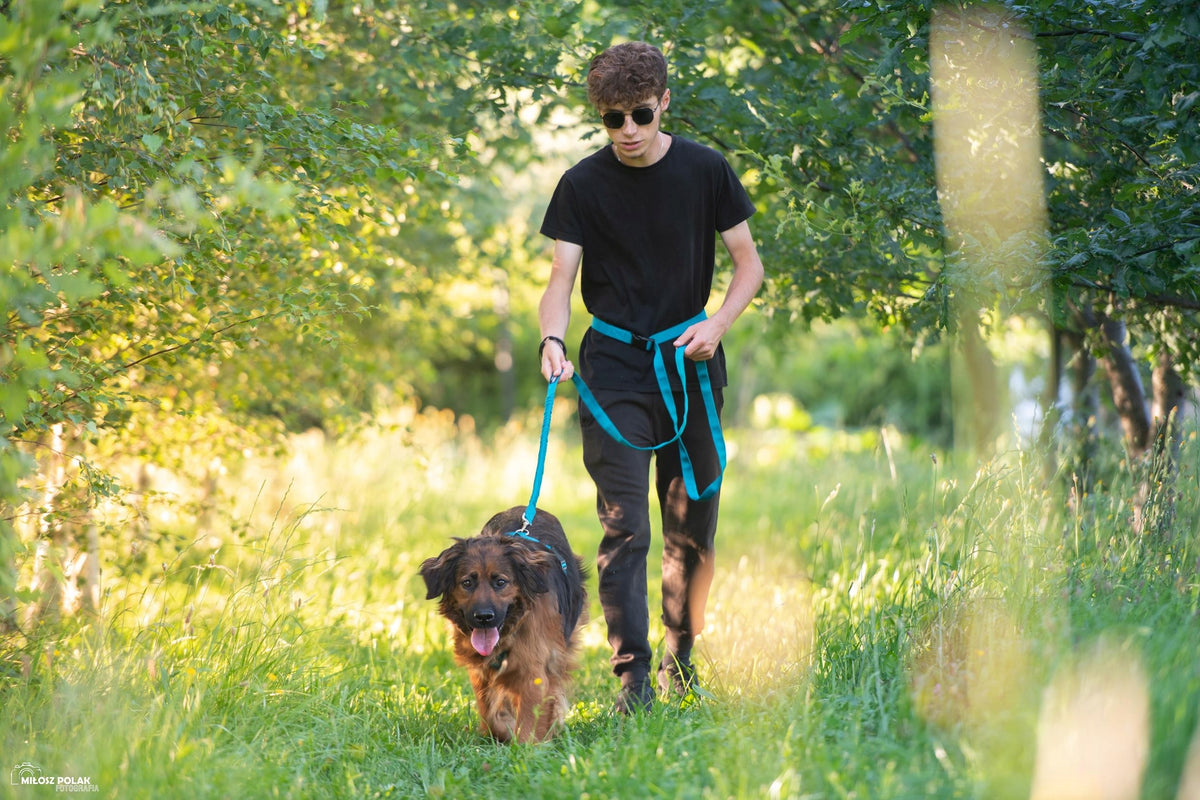 Dog Lanyard with Shock Absorber Walking for Running 2.8 - 3.8M Width 2.5CM Packaging status original