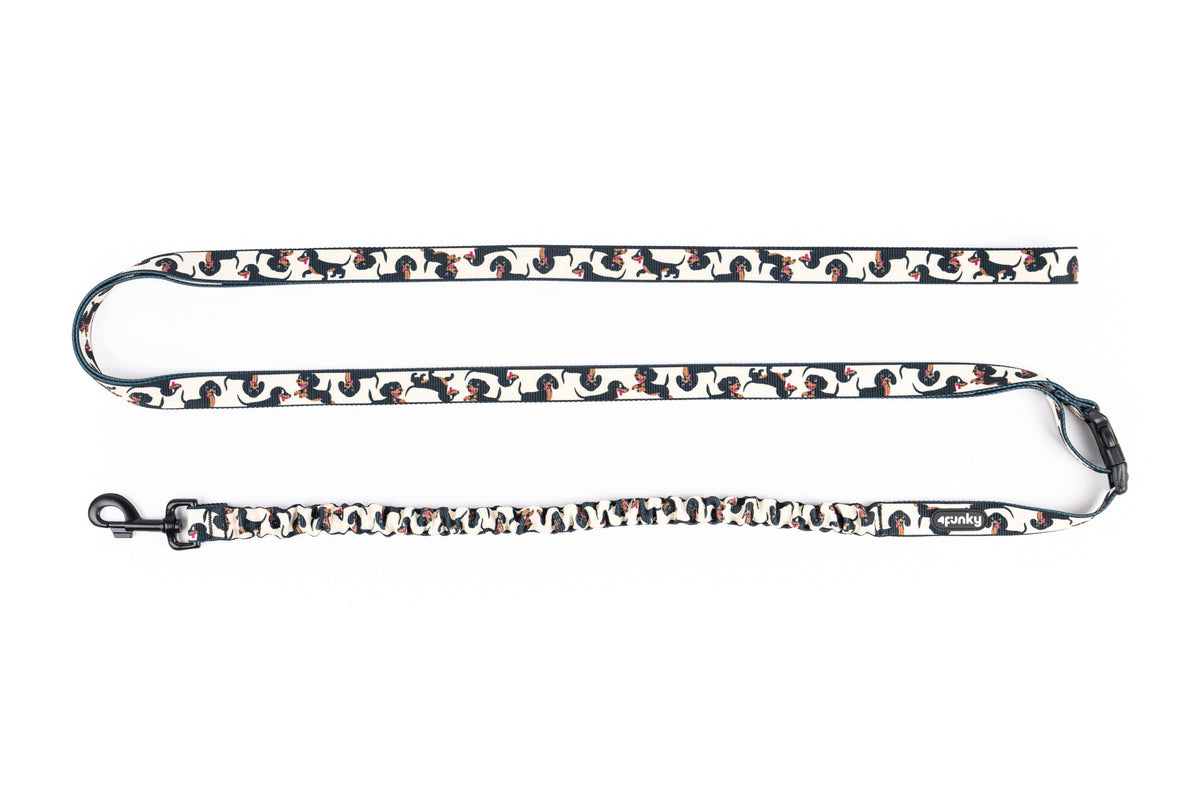 Dog Leash Sports Walking with Shock Absorber 350cm | 4Funky | Doxie Manufacturer code 662734