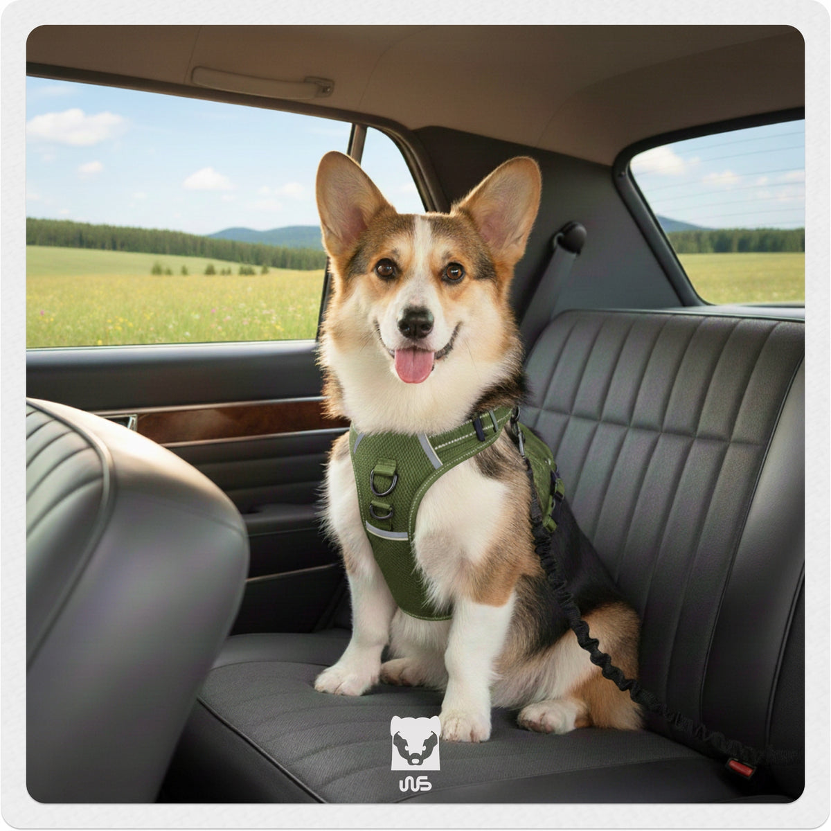 Dog Safety Belt Car Lanyard for Car Long Safe Manufacturer code Smycz dla Psa Mocna z Amortyzatorem Czarna