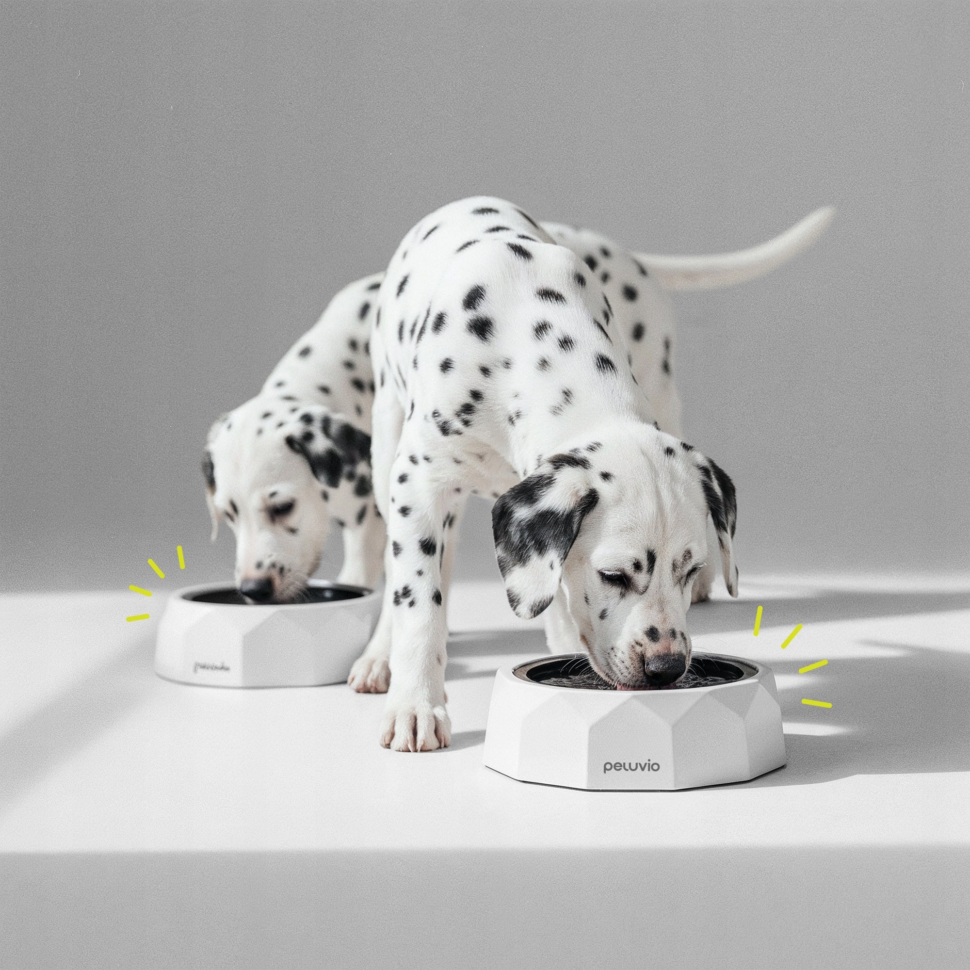 Dog Water Bowl NON-SLIP Peluvio Surfa Manufacturer code PE-SURFA WHITE