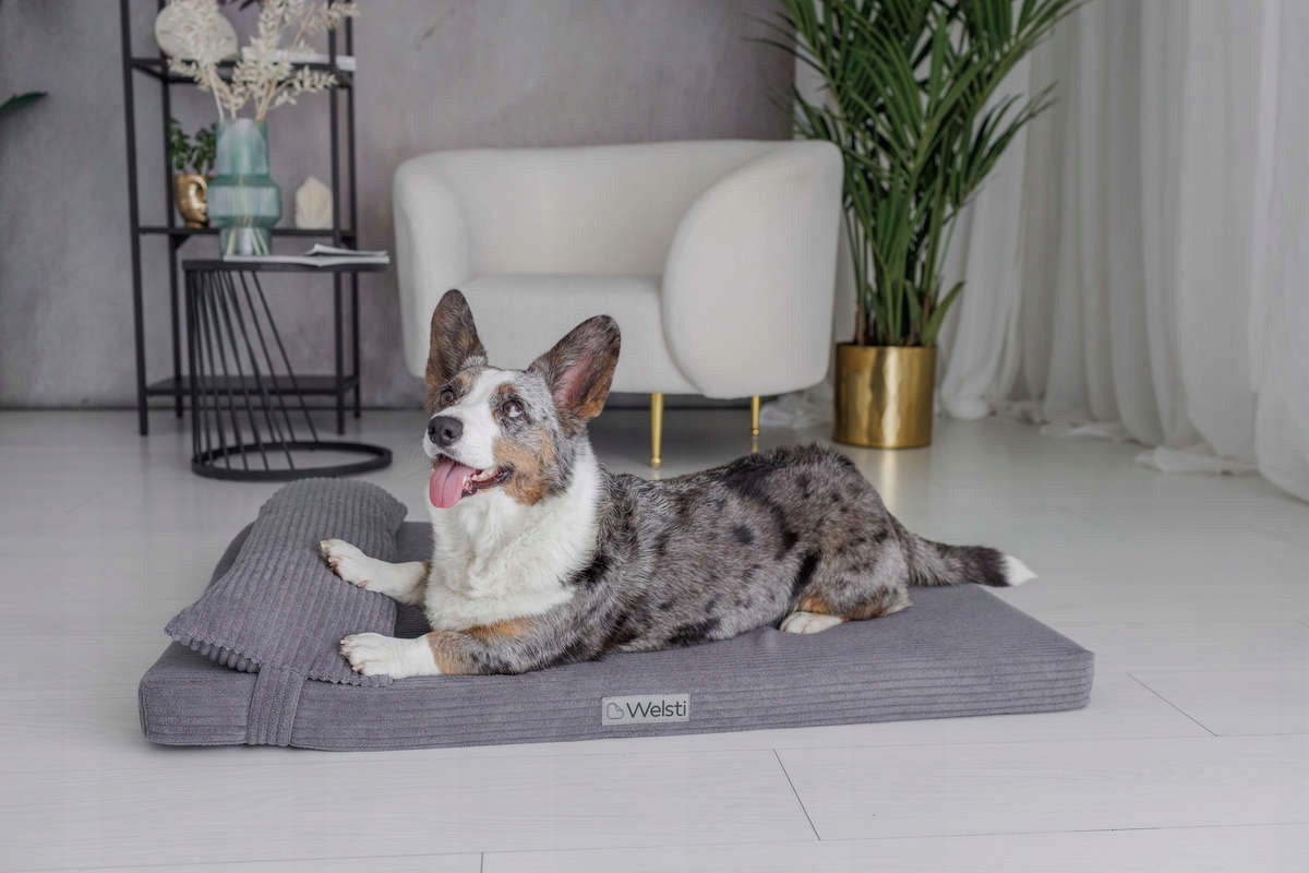 Dog bed mattress bed Welsti 100x70 corduroy bedding pillow EAN (GTIN) 5904422503444