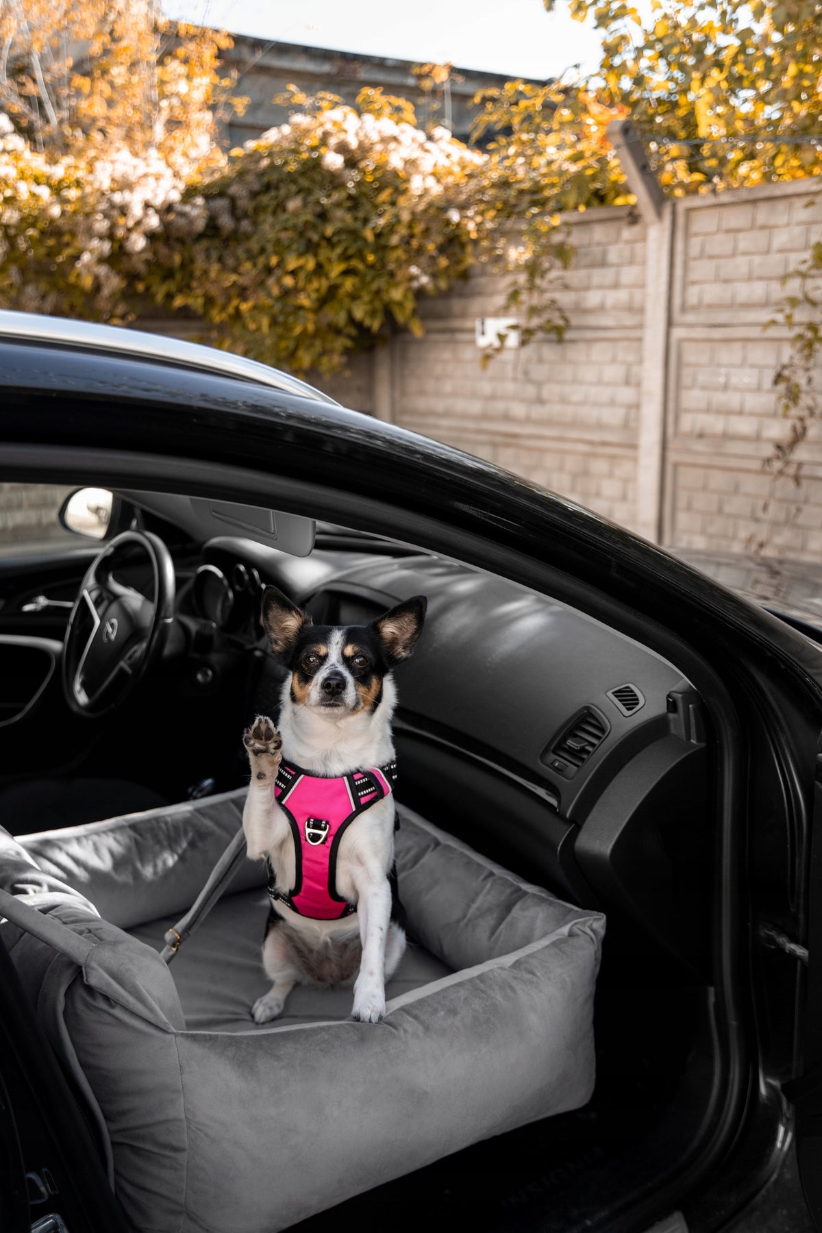 Dog car seat transporter for car bulldog dachshund HUGGY DOGGY L Manufacturer code Transporter fotelik samochodowy dla psa SNUG