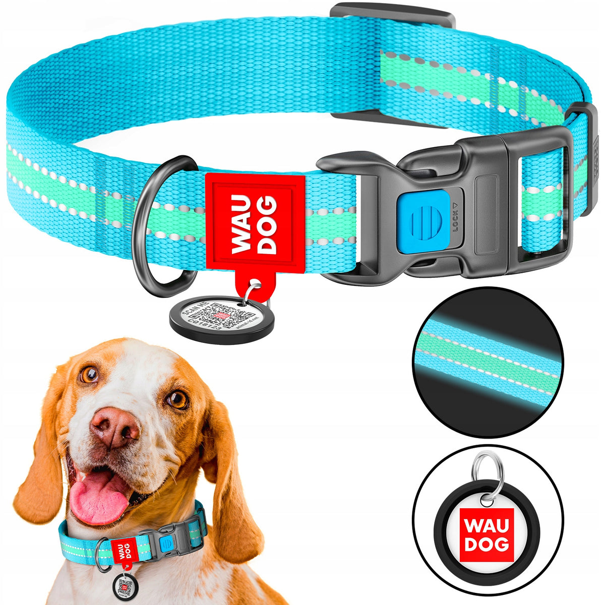 Dog collar accumulating light, reflective + QR ADDRESS FREEBIE, M