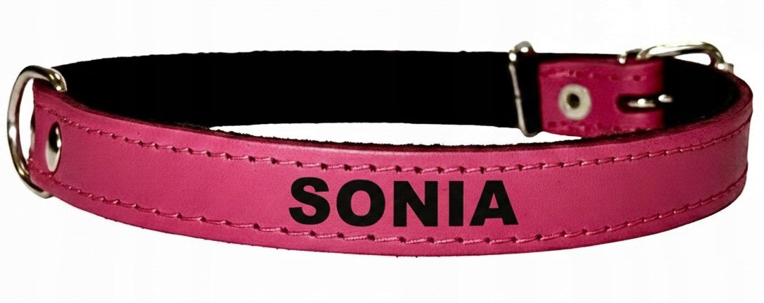 Dog collar with engraving - name and phone. Leather ros. 37-45cm 7 colors