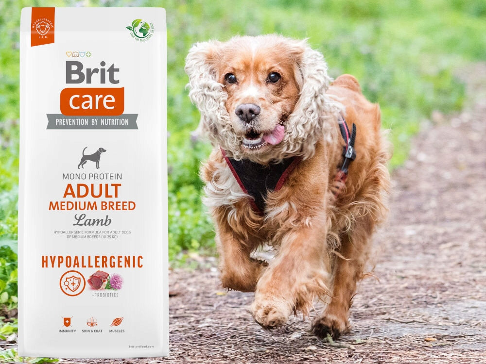 Dog food BRIT Lamb with rice 3 kg Brand Brit