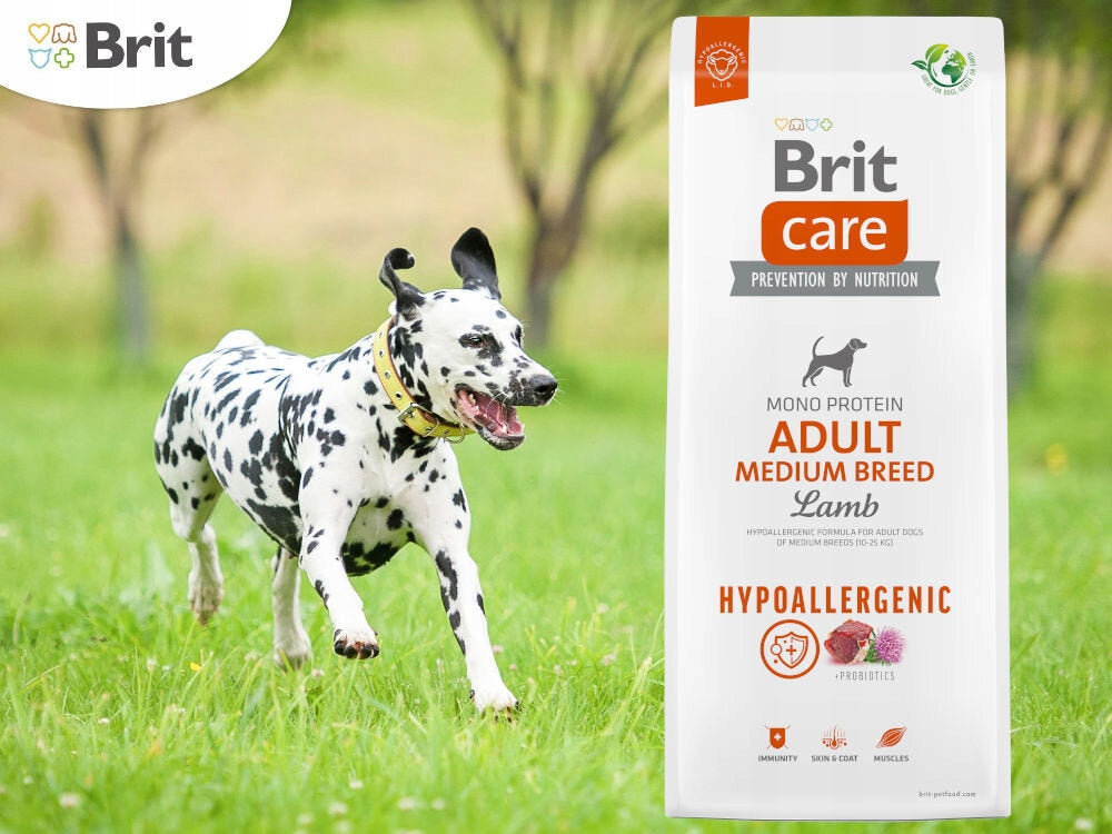 Dog food BRIT Lamb with rice 3 kg Flavor lamb