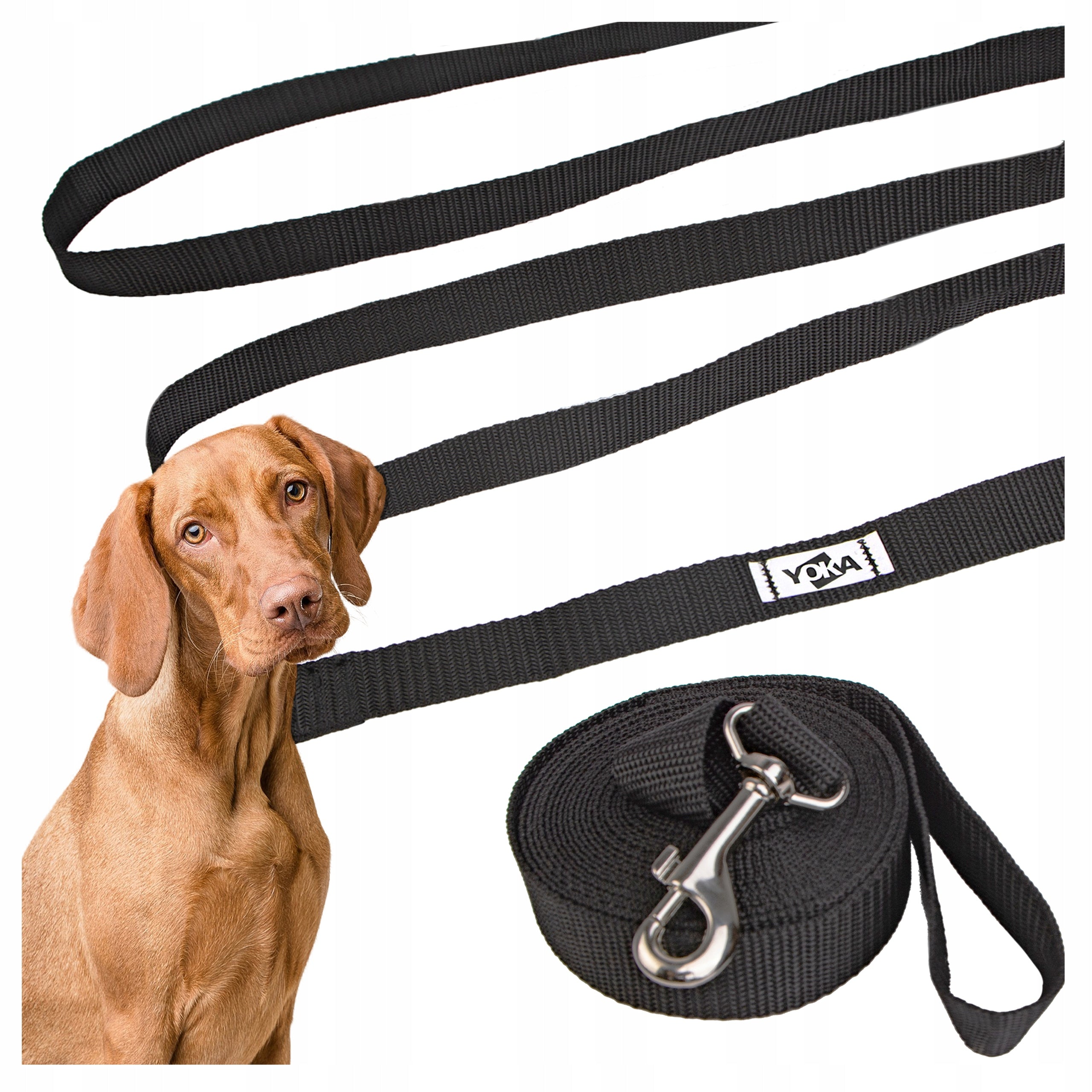 Dog leash WIDE TRAINING LONG TAPE 5m Black Packaging status original