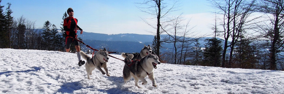 Dogtrekking Hifica RUN TREK 2.2 PP 40 Running Leash Brand Hifica