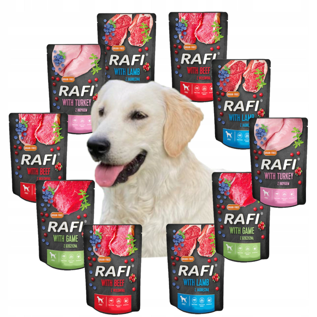 Dolina Noteci RAFI Wet food for PSA sachets mix of flavors 20x300 g