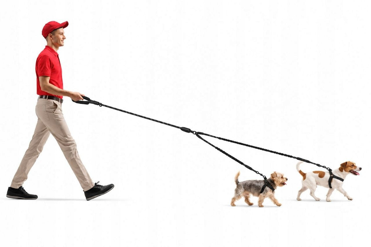 Double leash for 2 dogs, cushioned, up to 40 kg total reflective black Manufacturer code SD0126CN001
