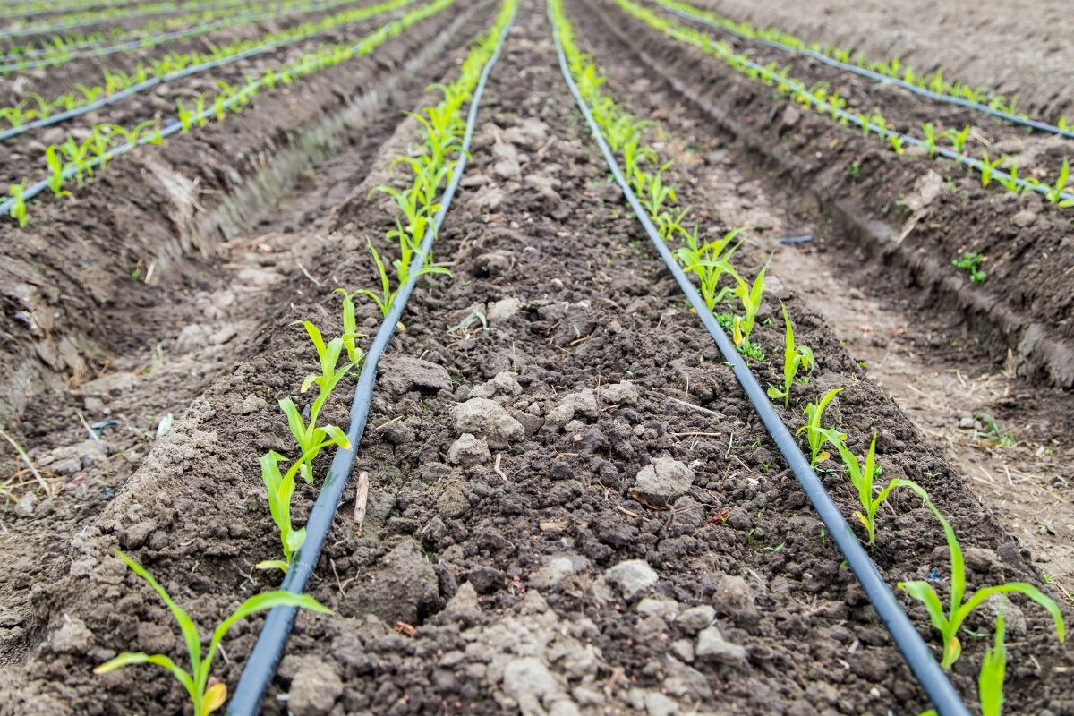 Drip Line 50m + 70 el. Drip Irrigation Set System Hose Pipe Packaging status original