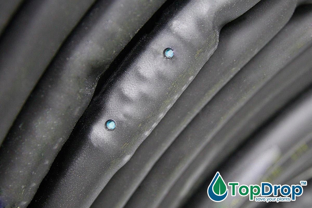 Drip Line With Compensation Drip Hose 100m Irrigation Pipe 16mm Brand Top Drop