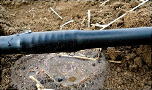 Drip line drip irrigation 16 mm 100 m spacing 20 cm hose Brand Wodan