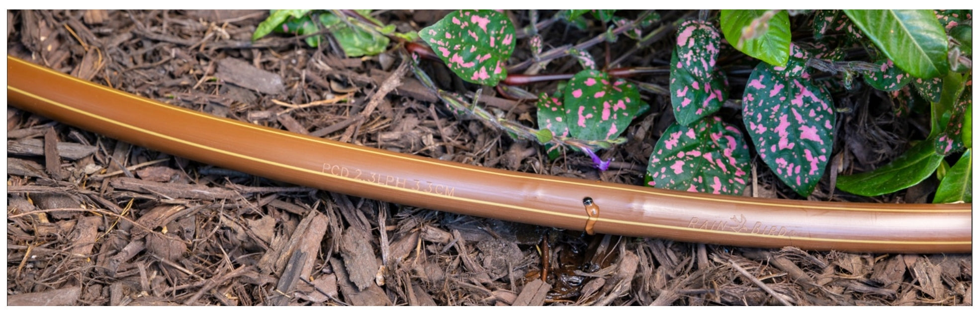 Drip line with Rain Bird PCD compensation 25 m brown 16m 33cm RainBird Brand Rain-Bird