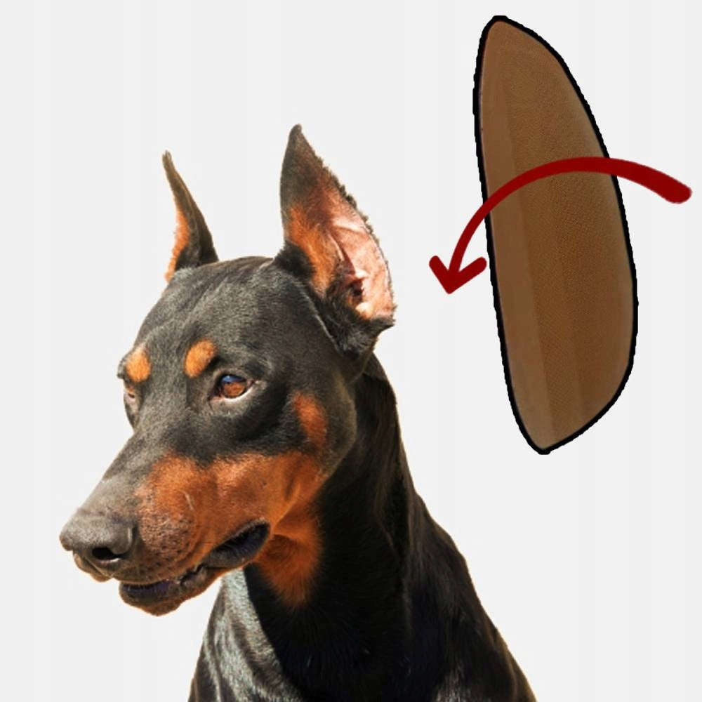 EAR MOLDING INSERTS FOR DOG DENTURES 5cm