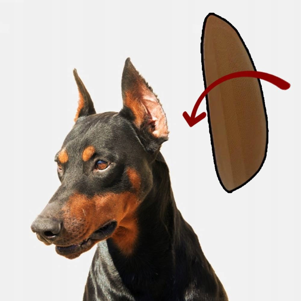 EAR MOLDING INSERTS FOR DOG EAR DENTURES 10*5cm Packaging status original