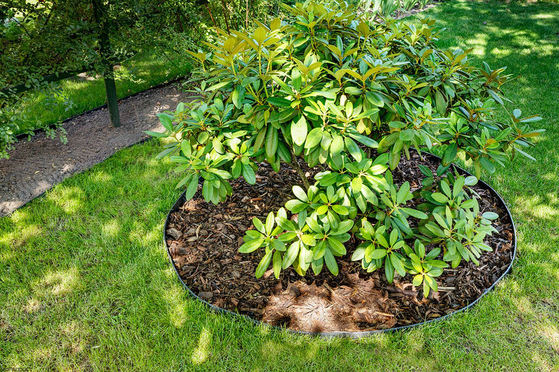 ECO LAWN EDGING BORD, BORDER 50m +150 ANCHORS Manufacturer code 6